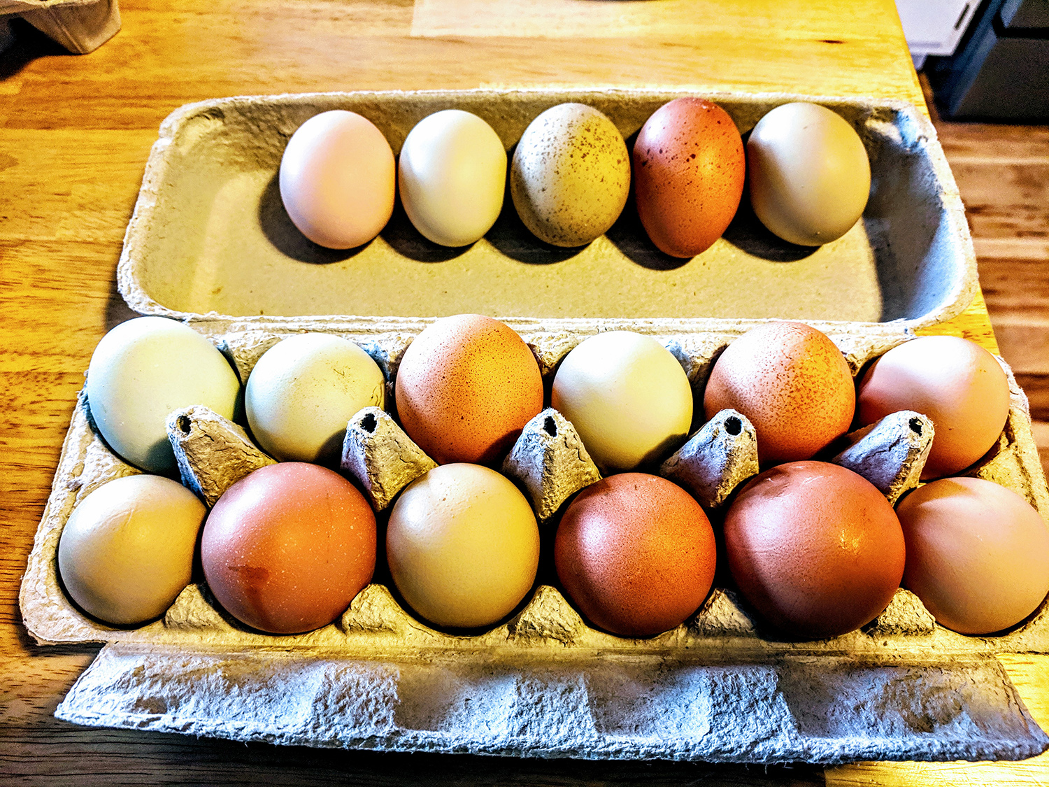 Chicken and Duck Eggs